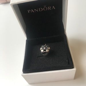 Pandora crown charm